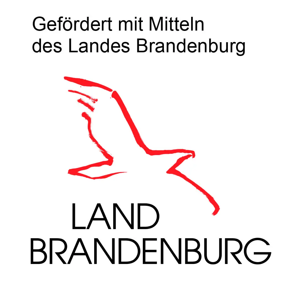 openart lausitz biennale 2026